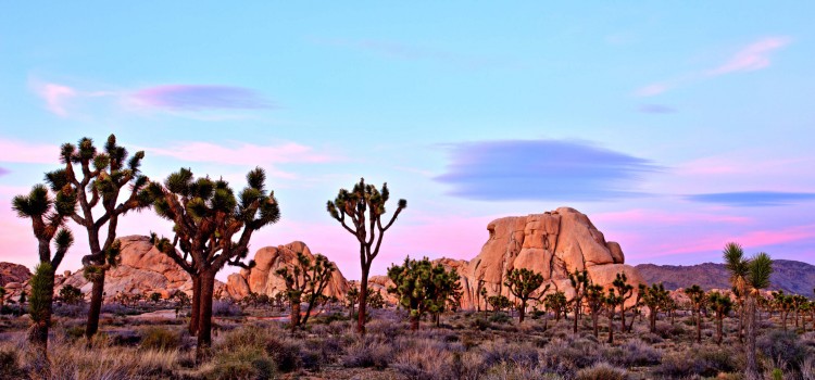 Palm Springs at sunset