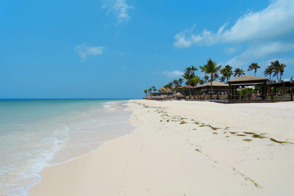 Relaxing view of a tropical beachfront in Oranjestad, Aruba with palm trees and clear blue waters.