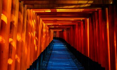 Explore the stunning orange torii gates of Fushimi Inari Taisha in Kyoto, Japan.