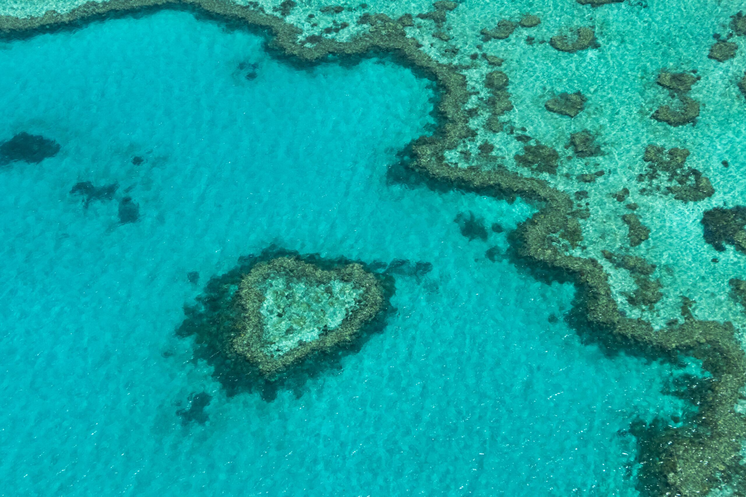 Stunning aerial shot of the heart-shaped coral formation in the Great Barrier Reef, Australia.