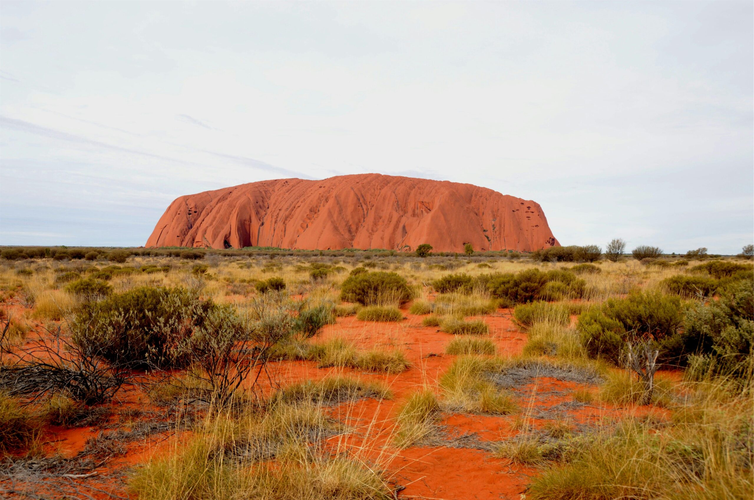 Scenic view of Uluru rock formation set in the arid Australian Outback landscape under cloudy skies.