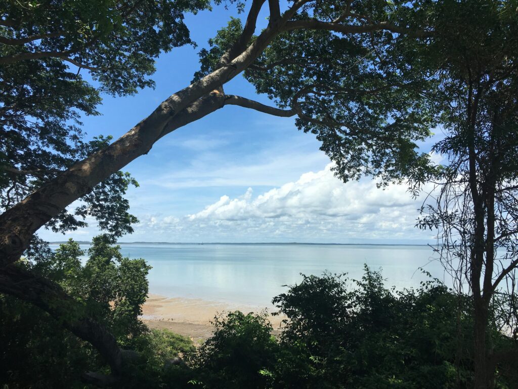 Tranquil beach scene with trees framing a serene ocean view in Darwin, Australia.